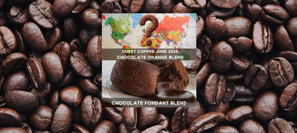 The Coffeeworks Discovery Coffee Bundle June 2025