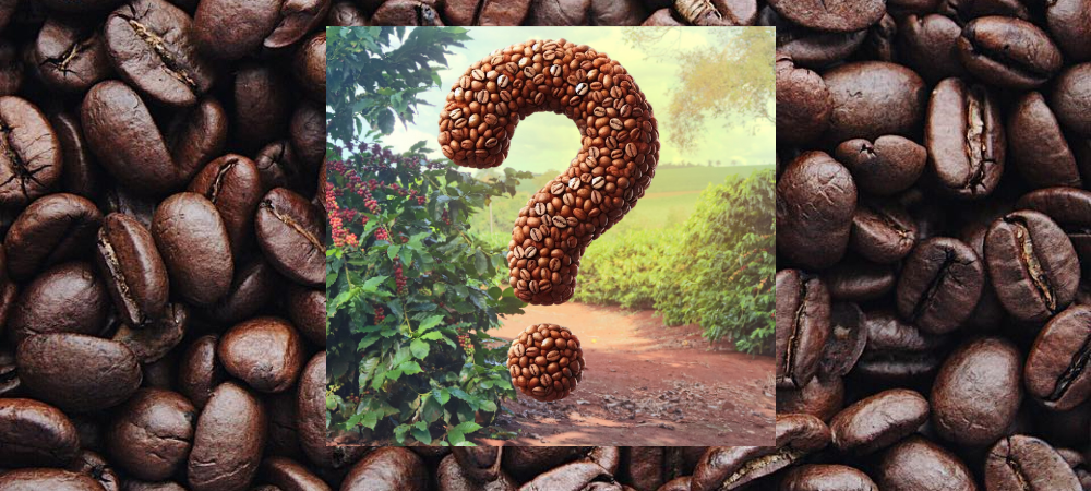 The Coffeeworks Discovery Coffee Bundle October 2025