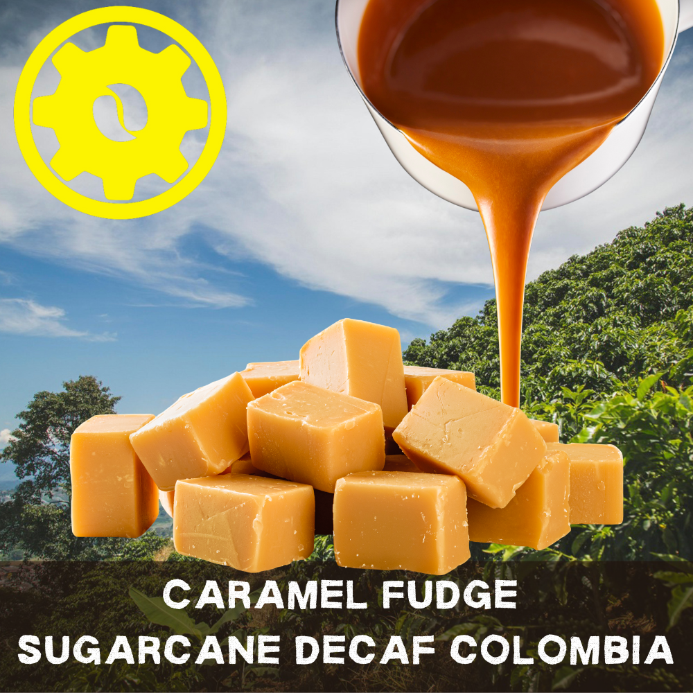Caramel Fudge - Sugarcane Decaf Colombia