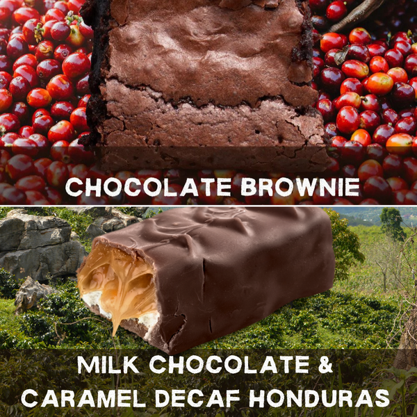 Bundle Deal Choc Brownie + Milk Choc & Caramel Decaf
