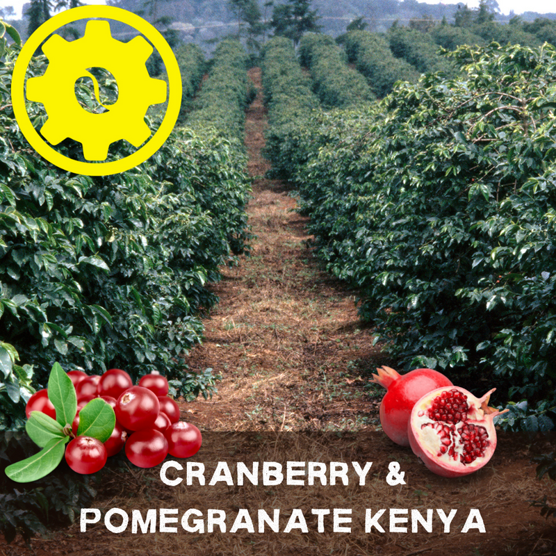 Cranberry & Pomegranate Kenya
