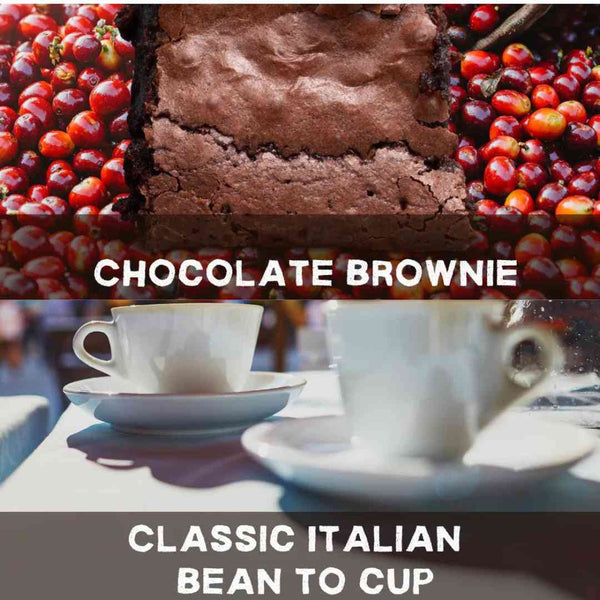 Bundle Deal  Chocolate Brownie Blend + Classic Espresso Blend