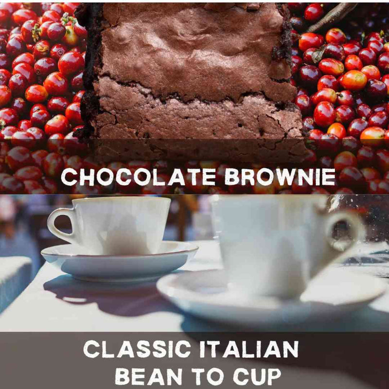Bundle Deal  Chocolate Brownie Blend + Classic Espresso Blend