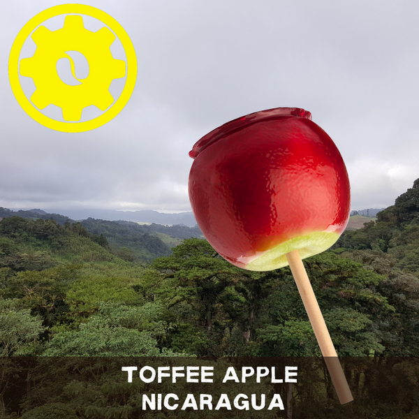 Toffee Apple Nicaragua